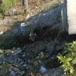 एनजीटी नियमों का उल्लघंन, एचसीसी सीवरेज की गंदगी कर रही नदी में प्रवाहित