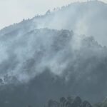 उठो जागो वन विभाग, जंगलों को आग से बचाओ