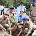 जंगल हमारी साझा धरोहर, संरक्षण में सबकी भागीदारी जरूरीःडीएम
