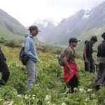 फूलों की घाटी में पर्यटकों का रिकॉर्ड आगमन, 17 दिन में पहुंचे 3628 सैलानी