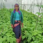 इंटीग्रेटेड फार्मिंग से आत्मनिर्भर बनीं सत्येश्वरी देवी, सीएम ने किया सम्मानित