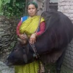 दूध के कारोबार से कमला ने बदली घर की तस्वीर